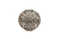 Silver Round Coil Ring