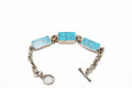 Eternal Turquoise Panel Bracelet